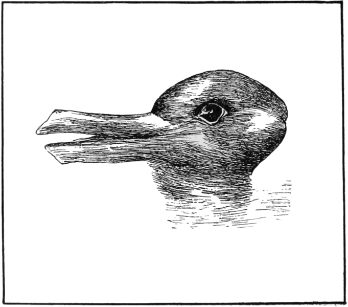 Optical_illusion_of_a_duck_or_a_rabbit_head